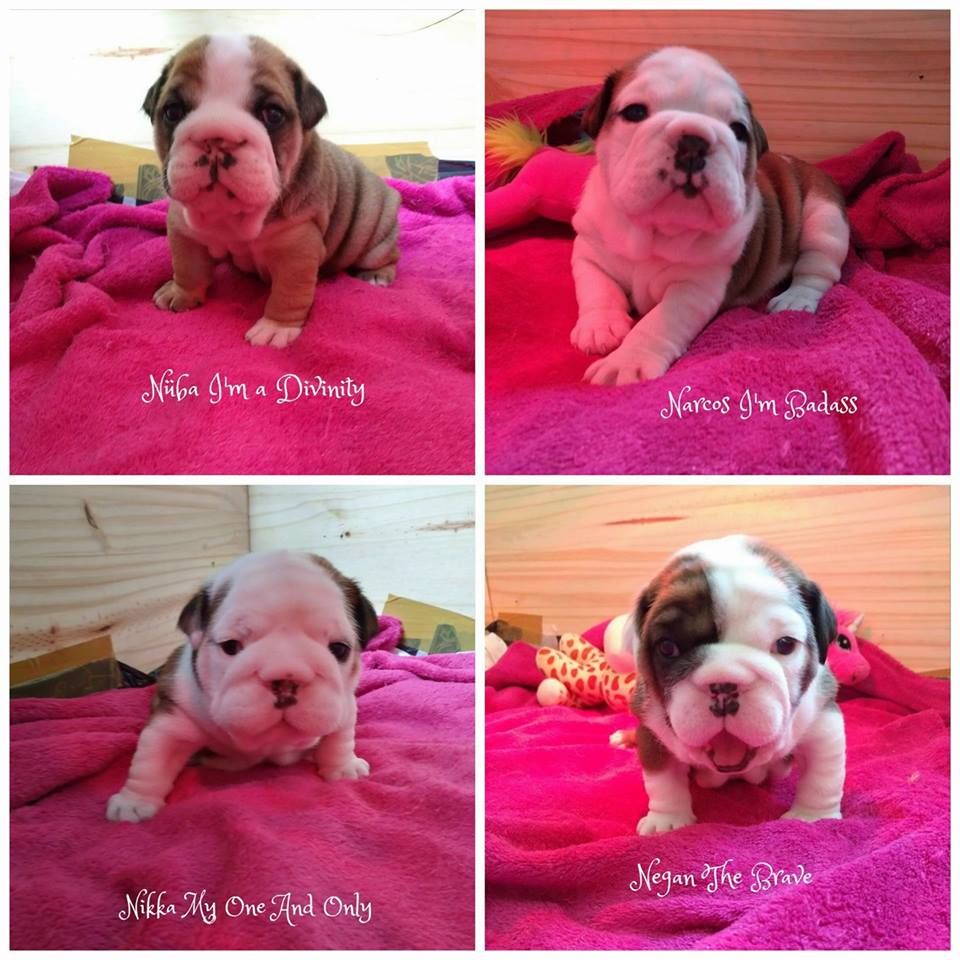 Les bébés de Jaïka
